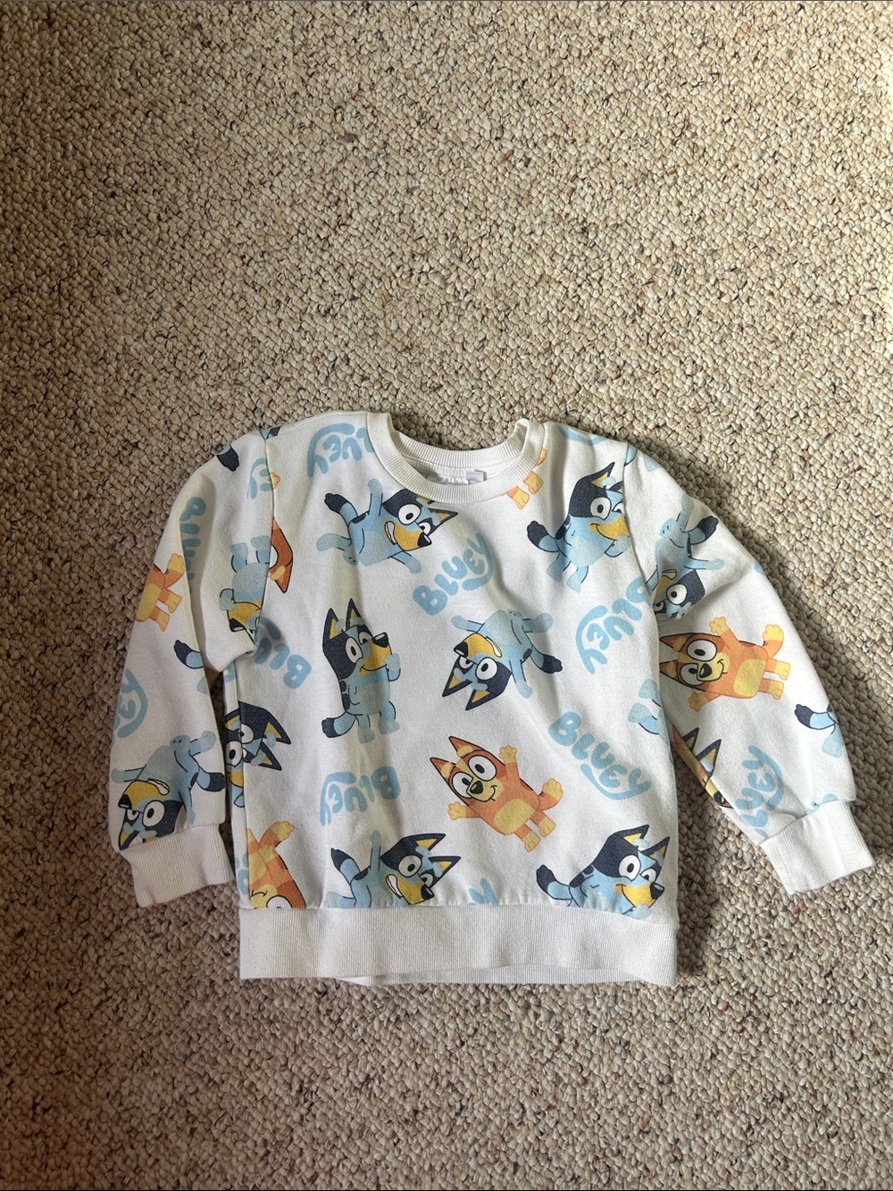 Kids' Bluey Print Crewneck Sweatshirt - White